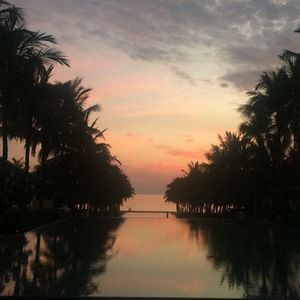 Meet your Posher, Dinh